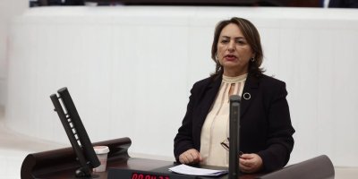 CHP'li Dr. Şevkin'den silahsızlanma çağrısı!