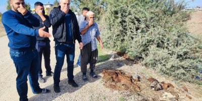 Adana'da dere yatağına yine at ve eşek kalıntıları atıldı: Mahalle sakinleri tepki gösterdi