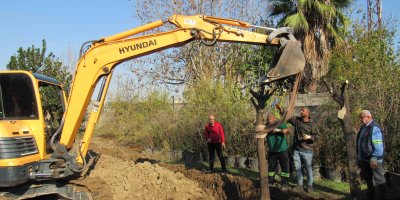 Adana Büyükşehir’den açıklama: Ağaç kesimi yok, nakil yapılıyor
