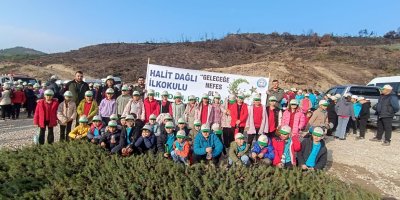 Öğrenciler, orman yangınında zarar gören alana fidan dikti