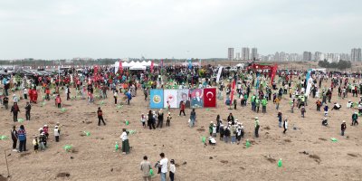 ATÜ yeşil kampüs olma yolunda ilerliyor