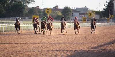 Kozan adına koşulan yarışta kazanan Nightflyers