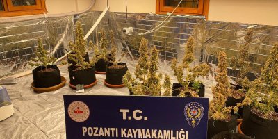 Villada uyuşturucu yetiştirmişler: Torbacı 'sevgililer' yakalandı, 4 kilo uyuşturucu ele geçirildi