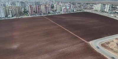 Apartmanlar arasında tarım yapmaya devam ediyor