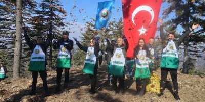 Adana’da bir yılda 50 ton sedir tohumu toprakla buluştu