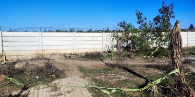 Adana'da bir kadın yol kenarında ölü bulundu