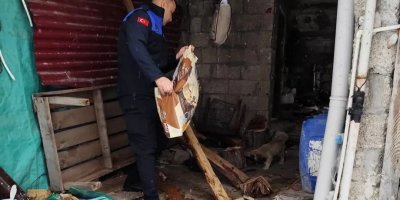 Karaisalı Belediyesi sokak hayvanlarını unutmadı