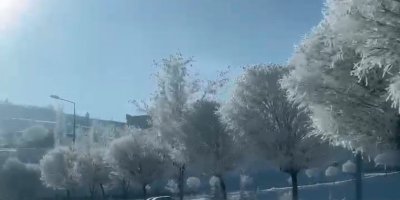 Tufanbeyli’de eksi 20 derece: Kırağı kartpostallık manzaralar oluşturdu