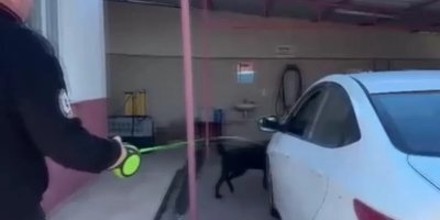 Binlerce uyuşturucu hapla yakalandı, “Babam hastaydı” savunması yaptı