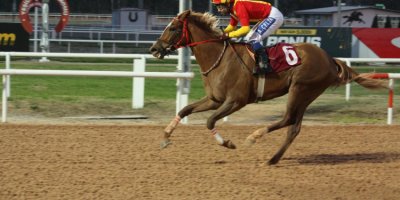 ÇGC Kupalı At Koşusu’nu Syntagma kazandı