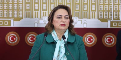 Müzeyyen Şevkin: "Tapu Kanunu teklifi jeoloji ve jeofizik mühendisliğini tehdit ediyor"