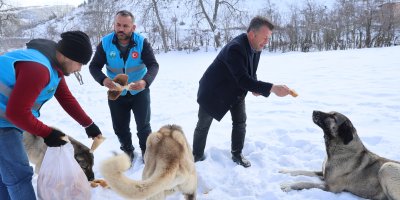 Karla kaplanan orman ve yaylalardaki canlılara şefkat eli