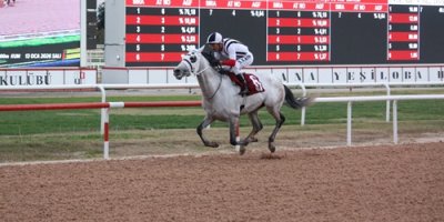 ASGD Adana Şubesi Koşusu’nu "Katı Zamanı" kazandı