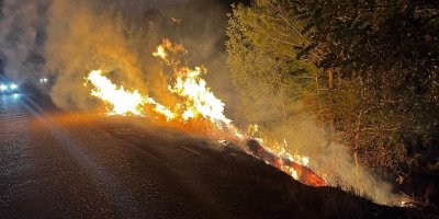 Kozan’da yol kenarındaki ağaçlık alanda yangın çıktı