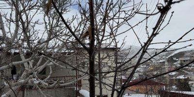 52 yılın en kurak zamanını geçiren çiftçi yağışlarla sevindi: İkinci üründe su sıkıntısı yaşanmayacak