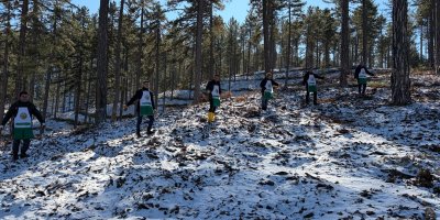 Saimbeyli’de orman geleceğe hazırlanıyor