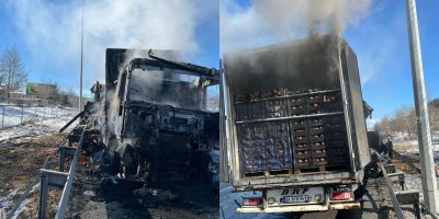 Adana-Pozantı Otoyolu'nda narenciye yüklü tır alevlere teslim oldu