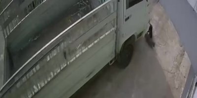 Kedi ezen sürücüye hayvan barınağında çalışma cezası