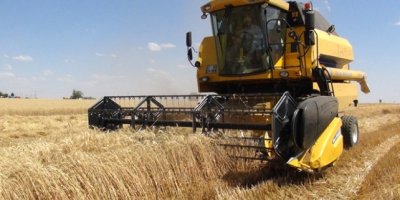 Buğday ve arpa üreticilerine tarım sigortası çağrısı