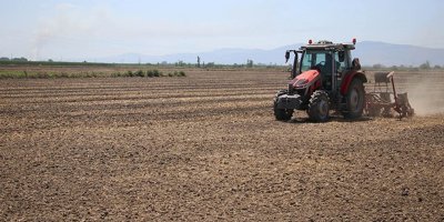 Adana’da hangi ürün arttı, hangisi düştü? TÜİK verileriyle tarım analizi