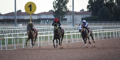 TSYD Adana Şubesi Koşusu’nu Zagros Rüzgarı kazandı