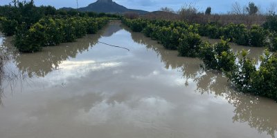 Adana’da şiddetli yağış, tarlaları sular altında bıraktı