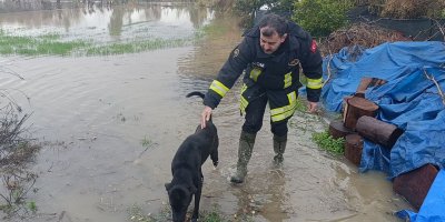 Selde mahsur kalan köpeği AKOM ekipleri kurtardı