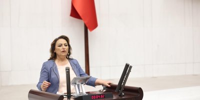 Müzeyyen Şevkin "Emeklilerin bayram ikramiyesi asgari ücrete endekslensin"