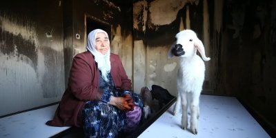 Şehit annesinin evinde yangın: Oğlak ve kuzu itfaiye ekiplerince kurtarıldı
