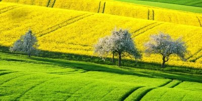 Arsa ve tarla fiyatlarının en hızla arttığı iller açıklandı!