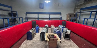 Polis, temizlik işçisi kılığına girerek horoz dövüşünü ortaya çıkardı