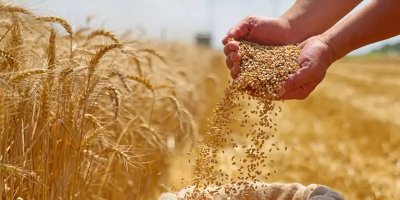 Adana tarımında umut veren gelişme: Yeni bir dönem mi başlıyor?