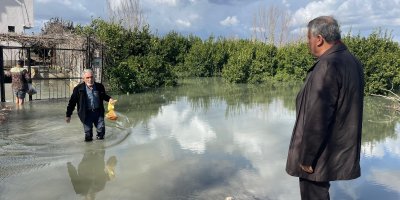 Ayhan Barut "İhmal ve plansızlığın bedelini çiftçiler ödüyor"