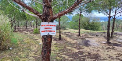 Vatandaşın ağaca astığı "Tabiat temiz kalsın" uyarısı yetmedi