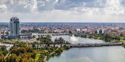 Adana'da büyük dönüşüm! Artık narenciye yerine bunu ekiyorlar!