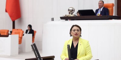 Müzeyyen Şevkin’den yeraltı barajları için meclis araştırması talebi