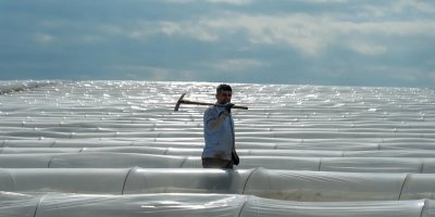 Adana’da erkenci karpuz üretimi başladı