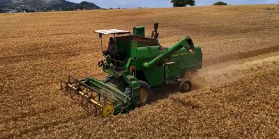 Adana’da tarım işçisi ücretleri belli oldu