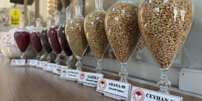 Adana’da geliştirilen tohumlar Dünyaya açıldı