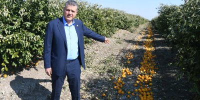 Ayhan Barut’tan limon ithalatı kararına tepki