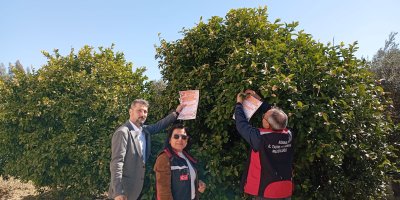 Kozan’da arıların korunmasına yönelik çalışma başlatıldı