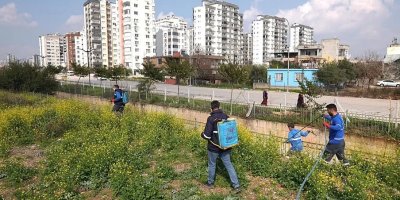 Fevzipaşa’da larva ile mücadelede yoğun mesai