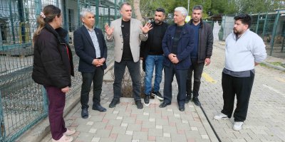 Veteriner Hekimler Odası’ndan barınak iddialarına yanıt