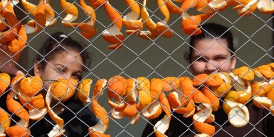 Limon ve turunç kabukları kadınların elinde değerleniyor