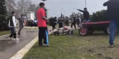 Atını sopa ve tekmeyle bayılttı