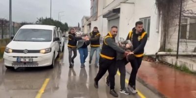 Atlara eziyet edenlere dikkat çeken ceza: Haftada 1 gün barınak temizleyecekler