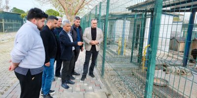 Adana Veteriner Hekimleri Odası Başkanı Üzeyir Can, yavru köpeklerin birbirini yediği iddialarına yanıt verdi