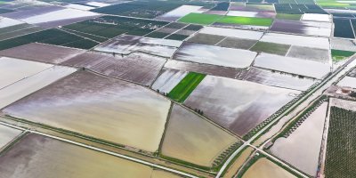 Çukurova'yı yağmur vurdu: Tarım arazileri sular altında