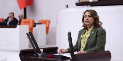 Müzeyyen Şevkin: "Zeydan Karalar neden görevine iade edilmiyor?"