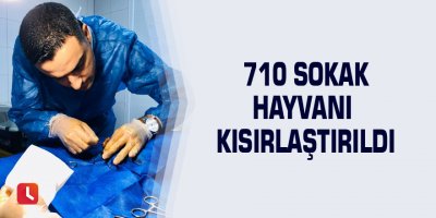 710 sokak hayvanı kısırlaştırıldı